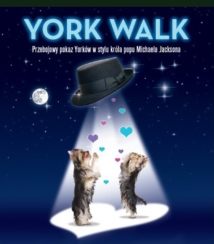 york_walk