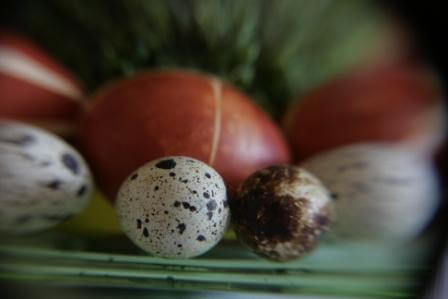 Wielkanoce Zakupy w Złotych Tarasach