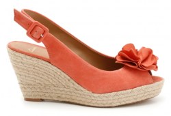 Summer Jubilee Clarks