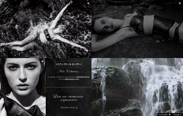 Nowy projekt Intimissimi